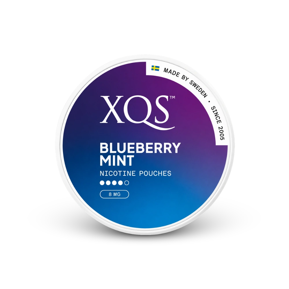 XQS Blueberry Mint Strong – lata de sachês de nicotina