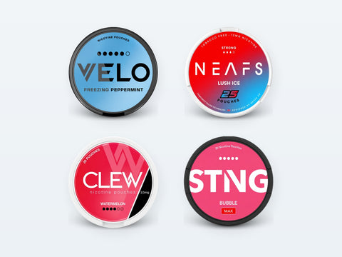 O Snus é Legal na Alemanha – O Que Realmente se Aplica