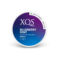 XQS Blueberry Mint Strong – lata de sachês de nicotina
