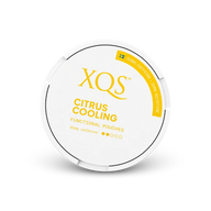 XQS Citrus Cooling Zero – lata de saquinhos de nicotina